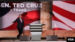 Ted Cruz 