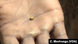 The precious metal after being processed from more than 20 kilograms of stones in Bindura, about 100 km north of Harare, in February 2019.