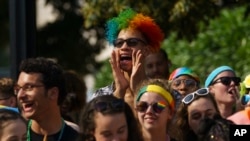 A rainbow wig-wearing fan cheers during the Capital Pride Parade in Washington, June 9, 2018. The yearly event is hosted by and in support of the the LGBTQ+ community and moves through the Dupont Circle and Logan Circle neighborhoods of Washington.