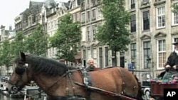 A horse-drawn carriage in Amsterdam