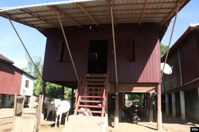អ្នកស្រី ហម សៀង បានយកប្រាក់ដែលកូនផ្ញើពីប្រទេសកូរ៉េ ដើម្បីជួសជុលផ្ទះ ដែលស្ថិតនៅក្នុងឃុំព្រែកអាជី ខេត្តកំពង់ចាម។ (ស៊ុន ណារិន/VOA)