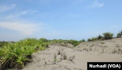 Kawasan gumuk pasir Parangtritis di Yogyakarta. (Foto: VOA/Nurhadi)