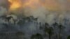 افزایش مشکلات تنفسی در پی آتش‌سوزی در جنگل‌های آمازون