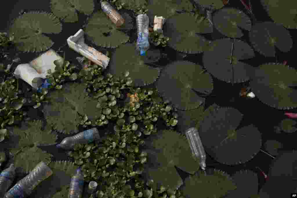 Discarded plastic water bottles pollute a canal in Kuttanadu, Kerala state, India, March 20, 2021.