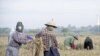 မြန်မာနဲ့ ကမ္ဘောဒီးယား ဆန် ဥရောပ တင်ပို့မှု EU အခွန်ကောက်ဖို့ ပြင်ဆင်
