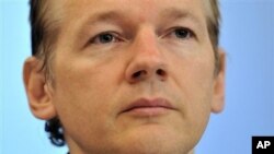 Wikileaks founder Julian Assange (file photo)