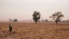 In Rural Mali, Women's Climate Work Brings Political Prowess