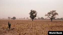 FILE - Mali landscape (Courtesy: World Bank)