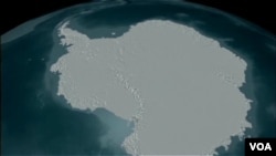 南極冰層下發現多種海洋生物