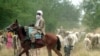 Tchad: 11 morts dans des affrontements entre éleveurs et cultivateurs