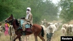 ARCHIVES - Des éleveurs tchadiens avec leur bétail dans la localité de Koukou Angarana, à environ 90 km de la frontière entre le Tchad et le Soudan, le 12 octobre 2006.