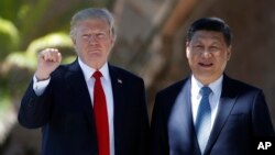 도널드 트럼프(왼쪽) 미국 대통령과 시진핑 중국 국가주석이 지난 7일 플로리다주 마라라고 리조트에서 회담 후 기자들을 위해 포즈를 취하고 있다.