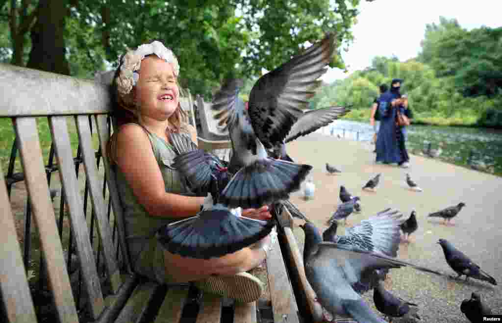 Olivia Coyte feeds the pigeons in St James&#39;s Park in London, Britain.