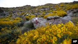 Se espera que la floración continúe hasta mayo y diferentes especies sigan brotando a diferentes alturas y en distintas zonas del parque.