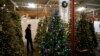 Farmers Worry Plastic Christmas Trees Might Displace Real Ones