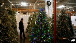 In this Friday, Nov. 30, 2018, photo, a man looks at artificial Christmas trees for sale at the Balsam Hill Outlet store in Burlingame, Calif. (AP Photo/Eric Risberg)