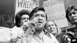 Cesar Chavez en 1975. El 31de marzo será su día nacional. 