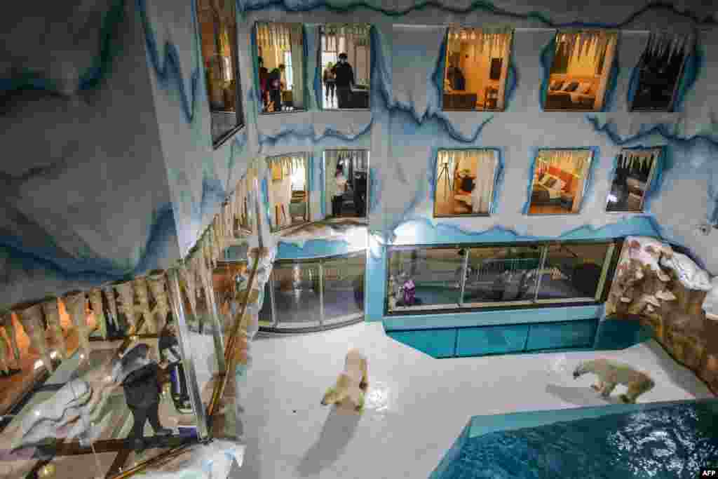 People look at polar bears inside an enclosure at a newly-opened hotel, which allows guests views of the animals from rooms on the premises in Harbin, northeastern China&#39;s Heilongjiang province.