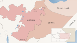 Waraanii Liyuu Hayil godina Gujii Bahaa aanaa Liibanitti ollaa Booranaa hadhee nama torba keessatti fixe