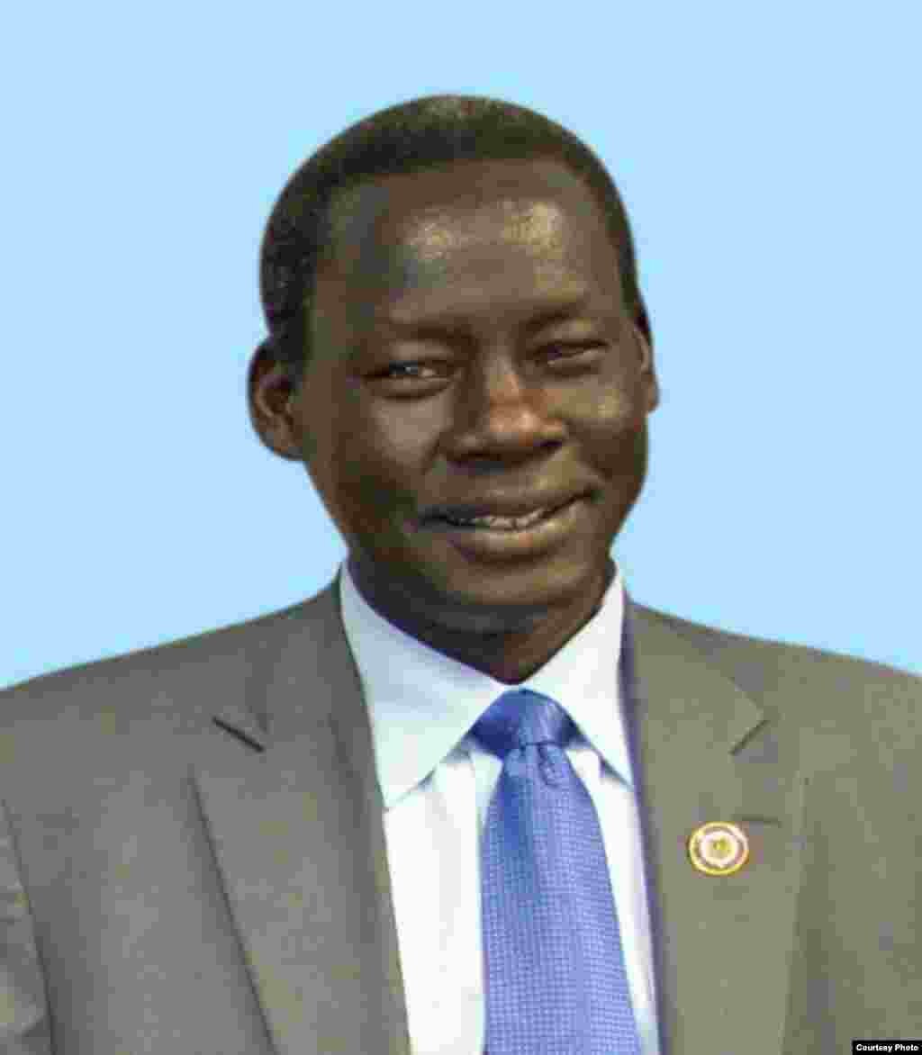 Former South Sudanese Minister of Cabinet Affairs Deng Alor Kuol, one of seven political detainees released Jan. 29, 2014 by the South Sudanese government. 