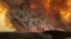 Thảm họa cháy rừng đe dọa lối sống Úc - Cộng đồng người Việt quyên tiền giúp nạn nhân
