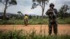 Quarante combattants du groupe armé ADF capturés dans l'Est, selon l'ONU