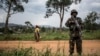 DRC: Abarwanyi ba ADF Bagirizwa Kwica Abanyagihugu 22 muri Ituri