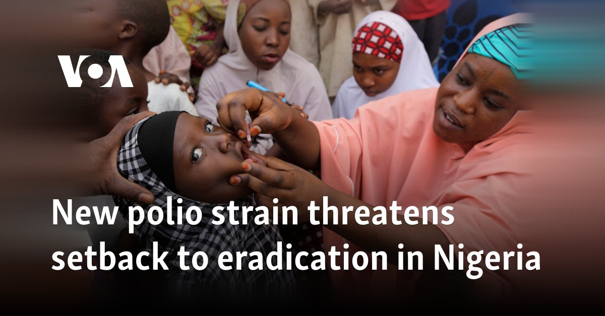 New polio strain threatens setback to eradication in Nigeria