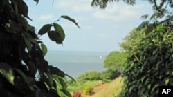 Baía de Maputo