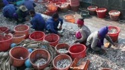 ထိုင်းနိုင်ငံမှာ သိန်းနဲ့ချီတဲ့ မြန်မာတွေ အလုပ်ရဖို့ အလုပ်သမားရေး လှုပ်ရှားသူတွေခန့်မှန်း
