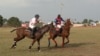 In polo, players can change horses every seven-and-a-half minutes of playing time. (C. Nwankwo/VOA)