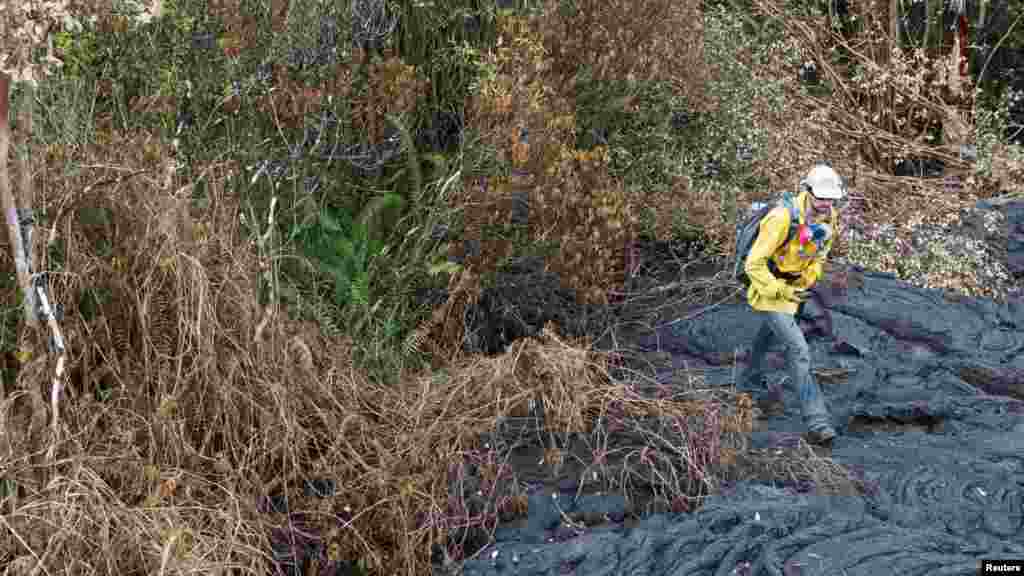 An HVO geologist maps the margin of the Kilauea volcano lava flow using GPS near Pahoa, Hawaii, Nov. 1, 2014.
