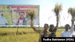 Menteri Pertanian Amran Sulaiman (ketiga dari kiri) pada saat meninjau langsung panen raya padi di Sragen, Jawa Tengah. (VOA/Yudha Satriawan)