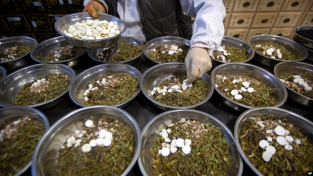 FILE - In this March 13, 2020 photo, a worker prepares the herbs and drugs needed for traditional Chinese medicine remedies at the Bo Ai Tang traditional Chinese medicine clinic in Beijing. (AP Photo/Mark Schiefelbein)