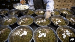 FILE - In this March 13, 2020 photo, a worker prepares the herbs and drugs needed for traditional Chinese medicine remedies at the Bo Ai Tang traditional Chinese medicine clinic in Beijing. (AP Photo/Mark Schiefelbein)