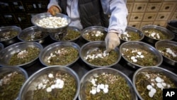 FILE - In this March 13, 2020 photo, a worker assembles ingredients for traditional Chinese medicine preparations into bowls at the Bo Ai Tang traditional Chinese medicine clinic in Beijing.