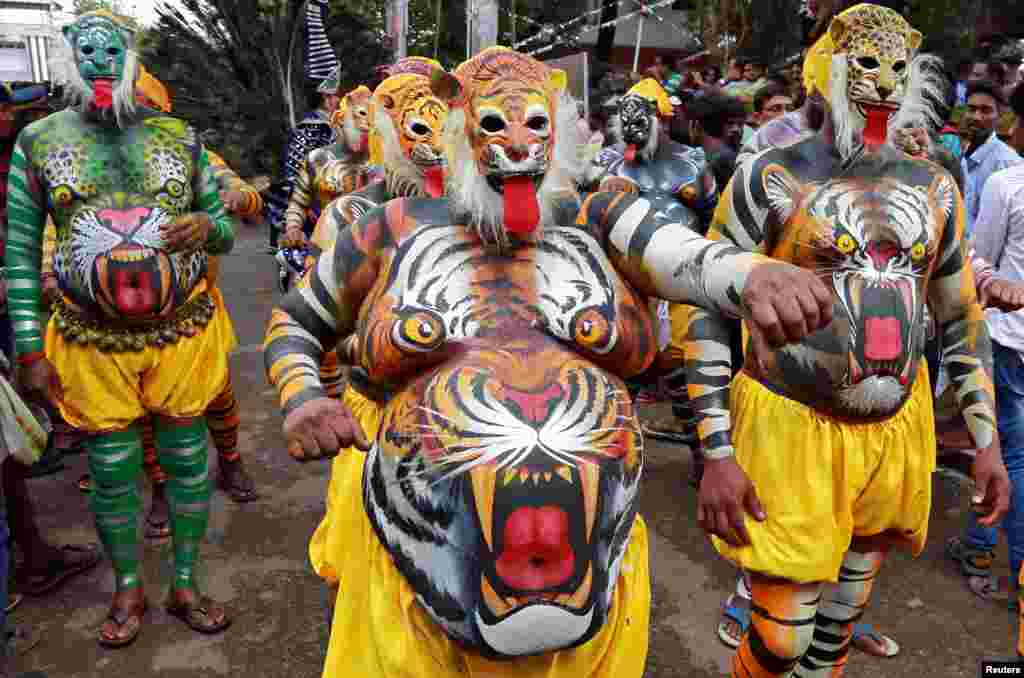 Performers painted to look like tigers dance during festivities marking the start of the annual harvest festival of Onam in Kochi, India.