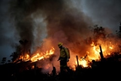 ایمزان کے جنگلات میں آتش زدگی کا ایک منظر