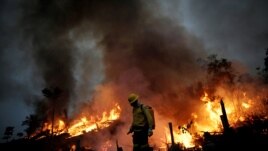 FILE - A Brazilian Institute for the Environment and Renewable Natural Resources (IBAMA) fire brigade member attempts to control a fire in a tract of the Amazon jungle in Apui, Amazonas State, Brazil, August 11, 2020. (REUTERS/Ueslei Marcelino)