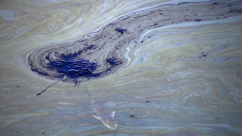 California Oil Spill Endangers Coastal Wildlife