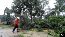 在德克萨斯州密苏里城，有人清理狂风吹落的大树枝叶（2017年8月26日）