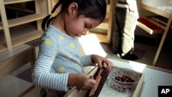 In this Oct. 12, 2017 photo a child in a combined pre-kindergarten and kindergarten Wampanoag language immersion class removes kernels from an ear of corn at the Wampanoag Tribe Community and Government Center, in Mashpee, Mass. 