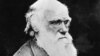 Foto ilmuwan Inggris Charles Robert Darwin, Bapak teori Evolusi yang hidup antara 1809-1882 (foto: dok).