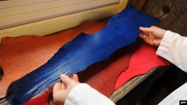 Struktur kulit ikan lebih berserat dan lebih elastis sehingga dapat dibentuk dengan baik untuk produksi sepatu, dompet dan pakaian (garment). (Foto: ilustrasi).