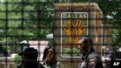 Petugas keamanan tengah berbincang dengan petugas kebun binatang Dallas, Texas (Foto: dok). Satuan pemadam kebakaran Dallas berhasil menyelamatkan 100 penumpang monorel di kebun binatang ini, saat berhenti mendadak, Sabtu (23/2).