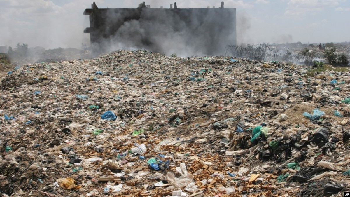 Toxic Waste Exposure Widespread in Developing World