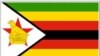 Opposition Parties 'Watch' as Zimbabwe Crumbles 
