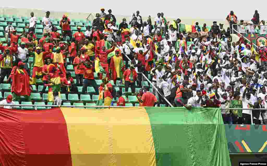 Guinea&#39;s supporters cheer during the match between Senegal and Guinea.