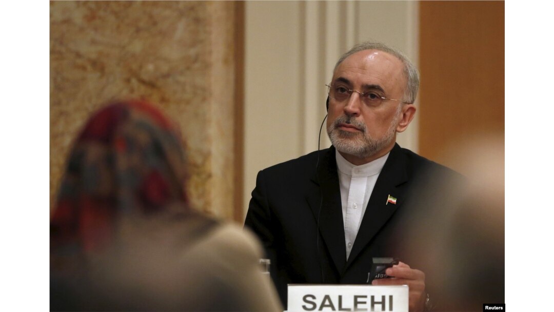 FILE - Iran's head of the country's Atomic Energy Organization, Ali Akbar Salehi, attends a seminar in Tokyo, Japan, Nov. 5, 2015.