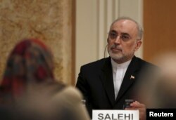 FILE - Iran's head of the country's Atomic Energy Organization, Ali Akbar Salehi, attends a seminar in Tokyo, Japan, Nov. 5, 2015.